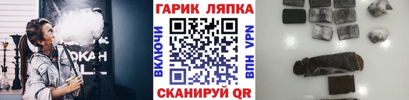 Купить закладки  Чкаловск  Гашиш индика сатива 